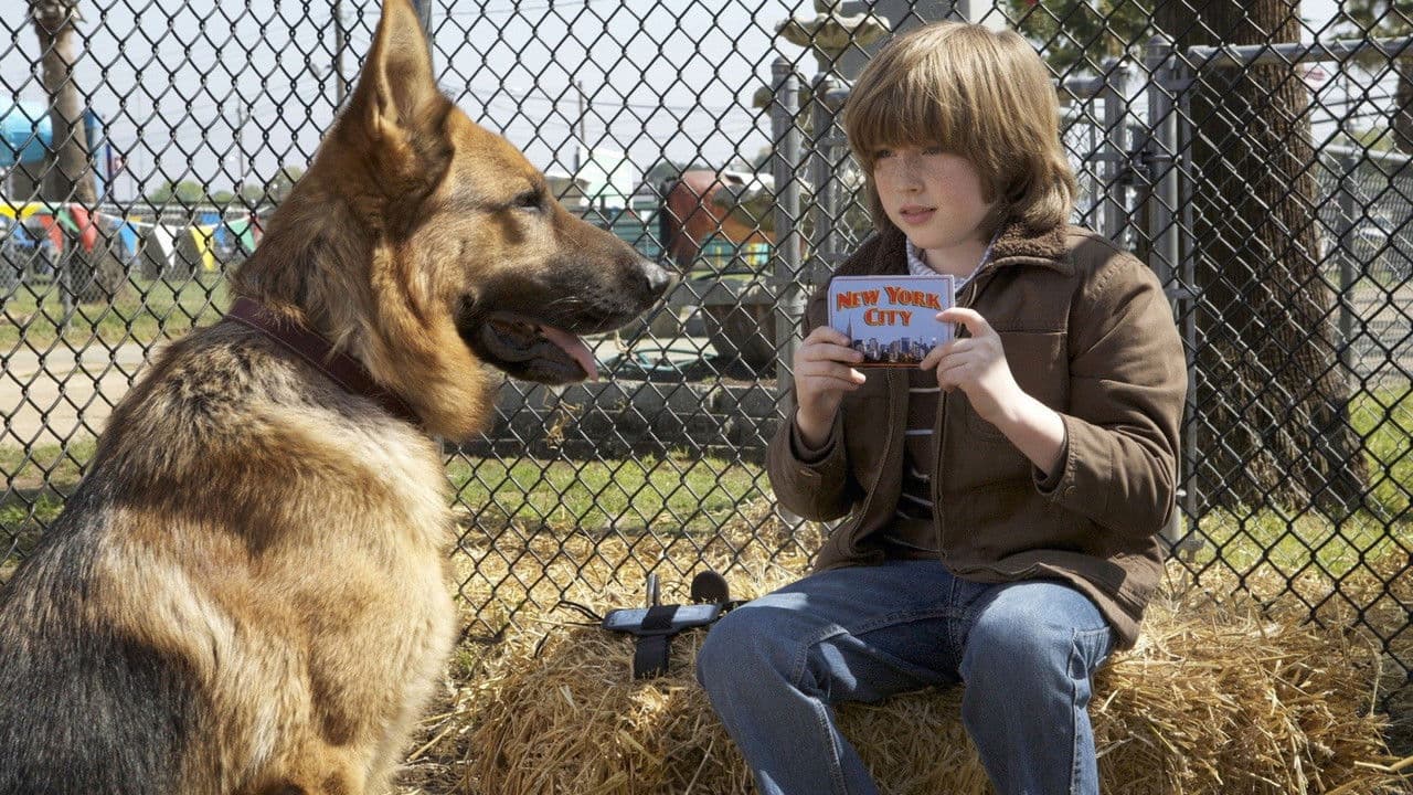 Rintintin à New-York - Capture 2