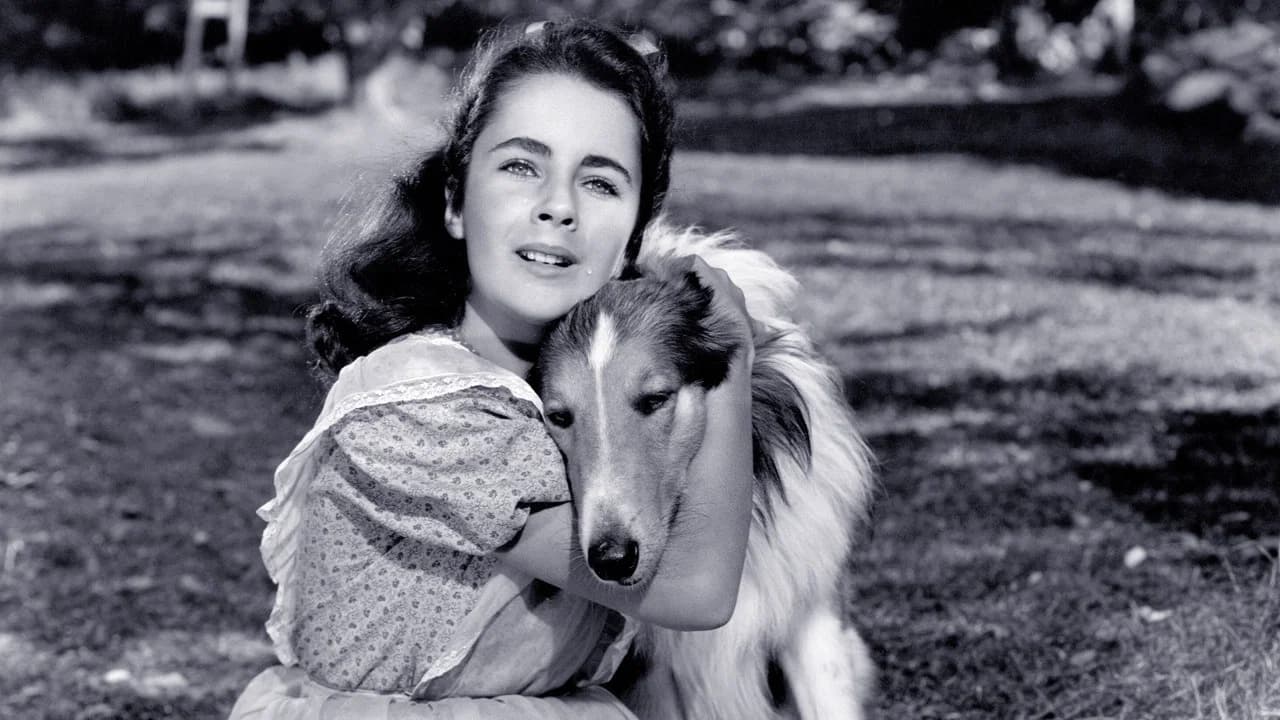 Le Courage de Lassie