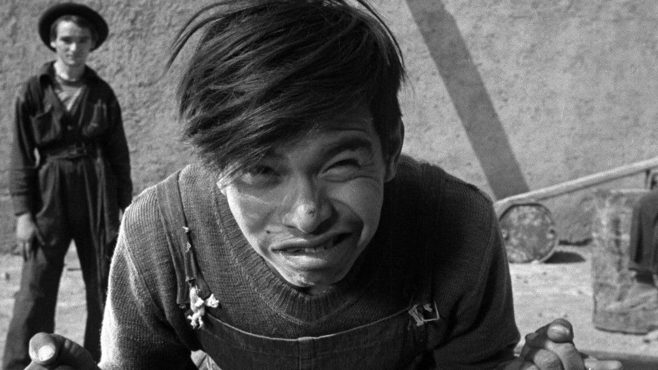 Los olvidados : pitié pour eux - Capture 5