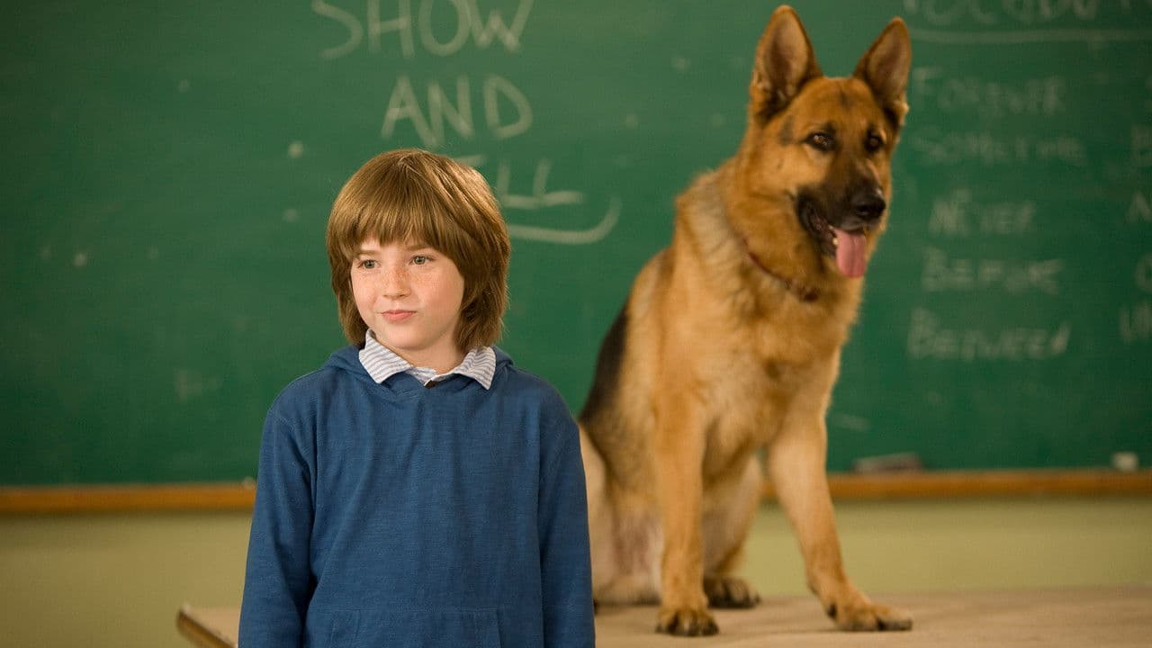 Rintintin à New-York - Capture 3