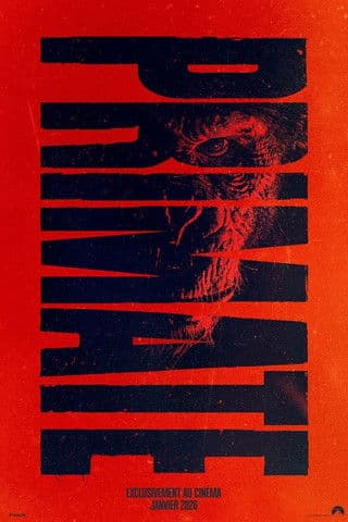 Primate