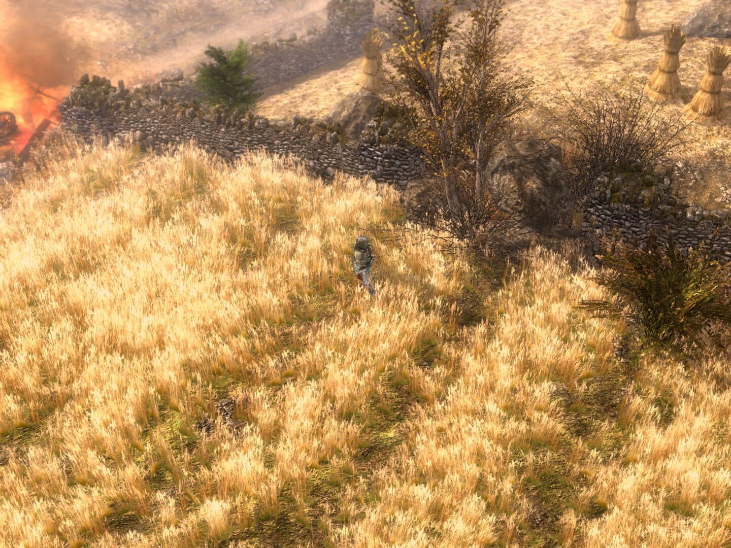 Grim Dawn