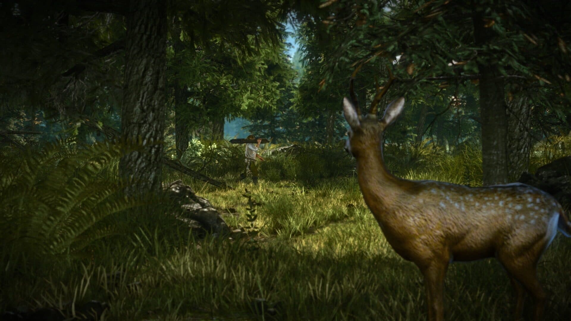 The Witcher 2: Assassins of Kings - Enhanced Edition