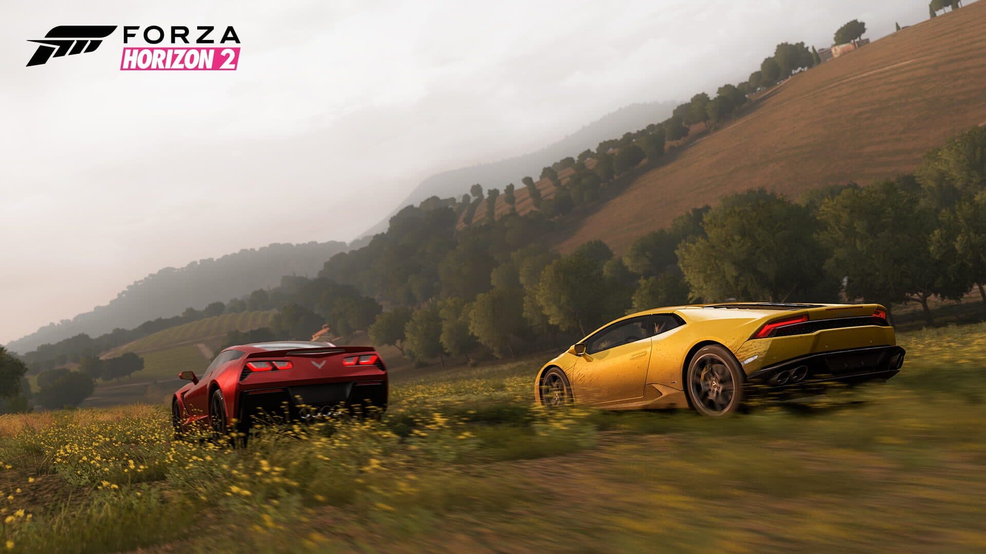 Forza Horizon 2 - Capture 1