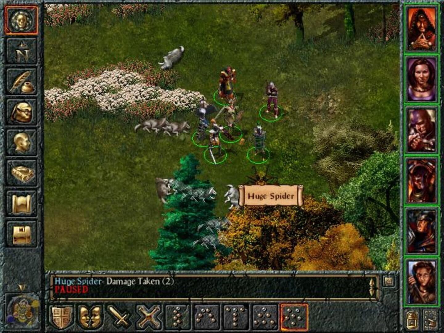 Baldur's Gate - Capture 1