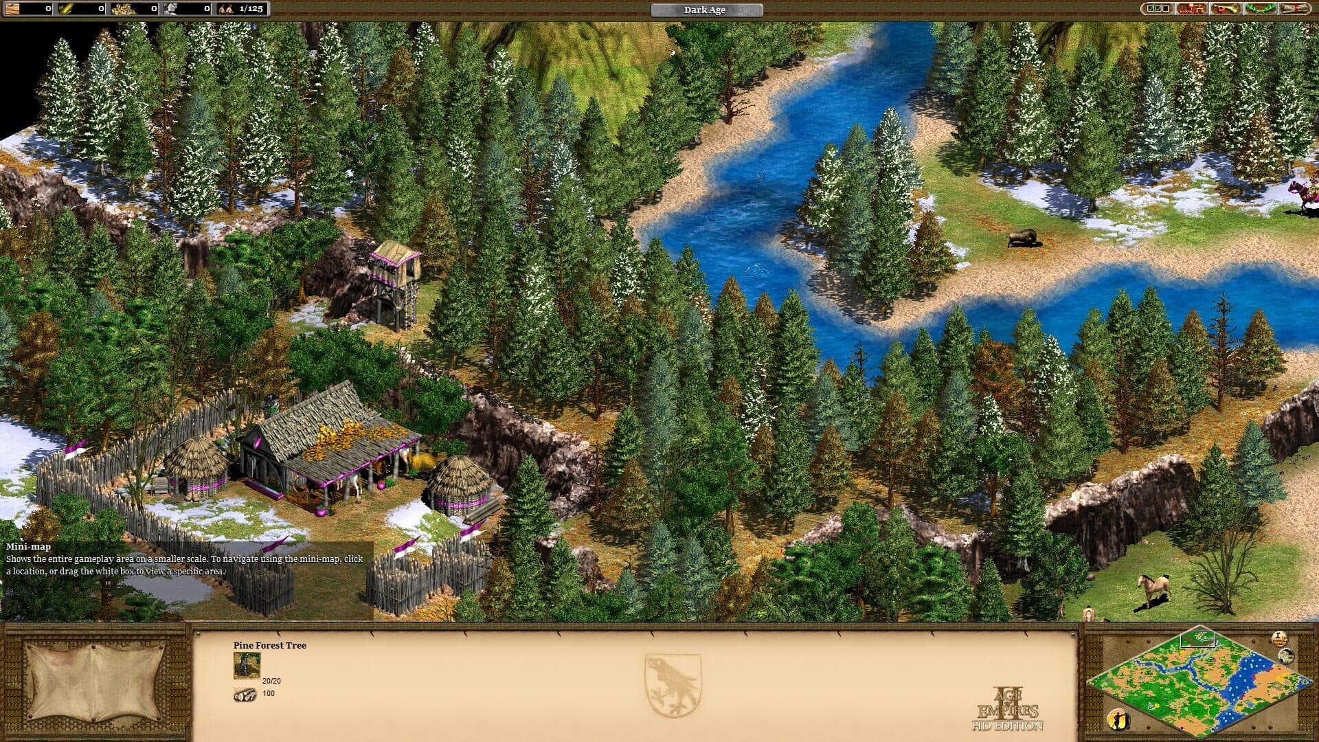 Age of Empires II: HD Edition - Capture 4
