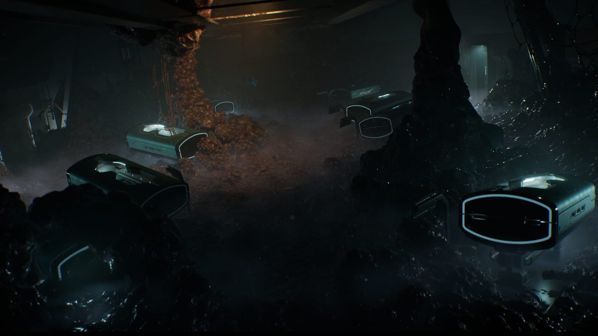 Directive 8020