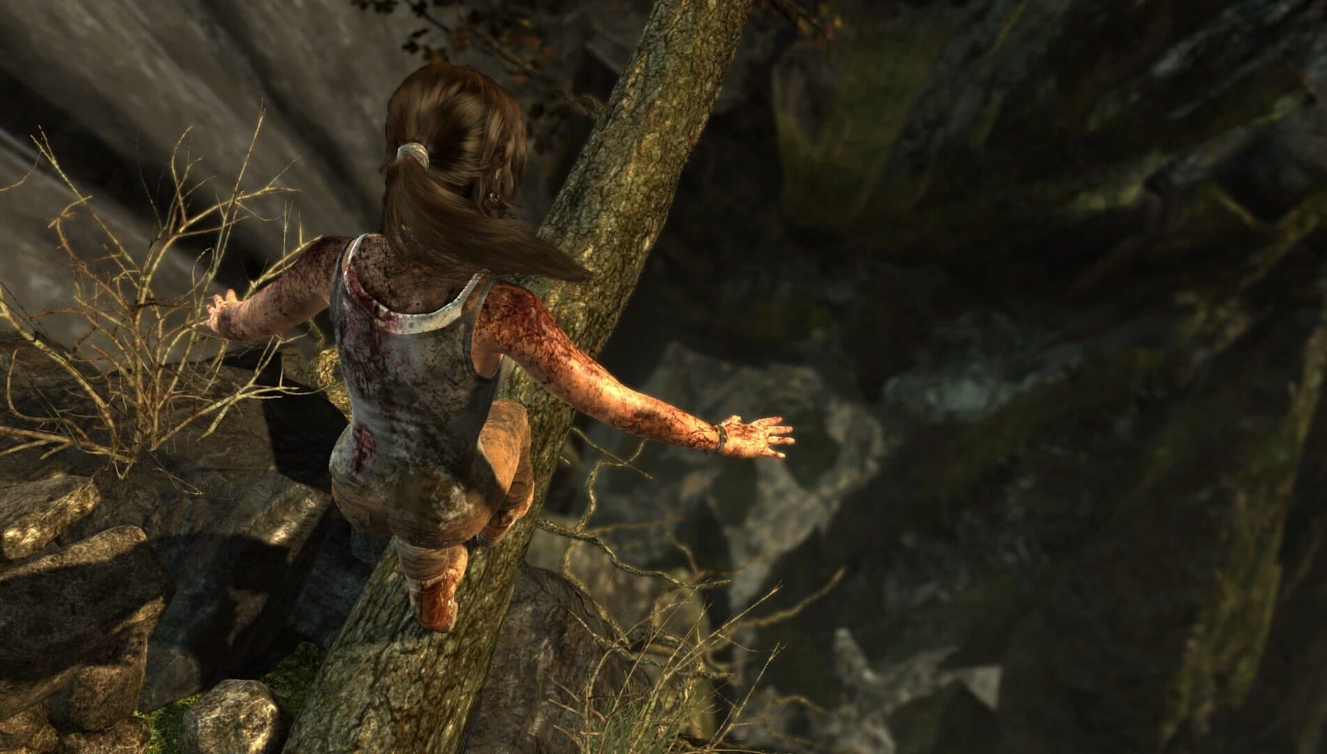 Tomb Raider: Definitive Edition - Capture 3