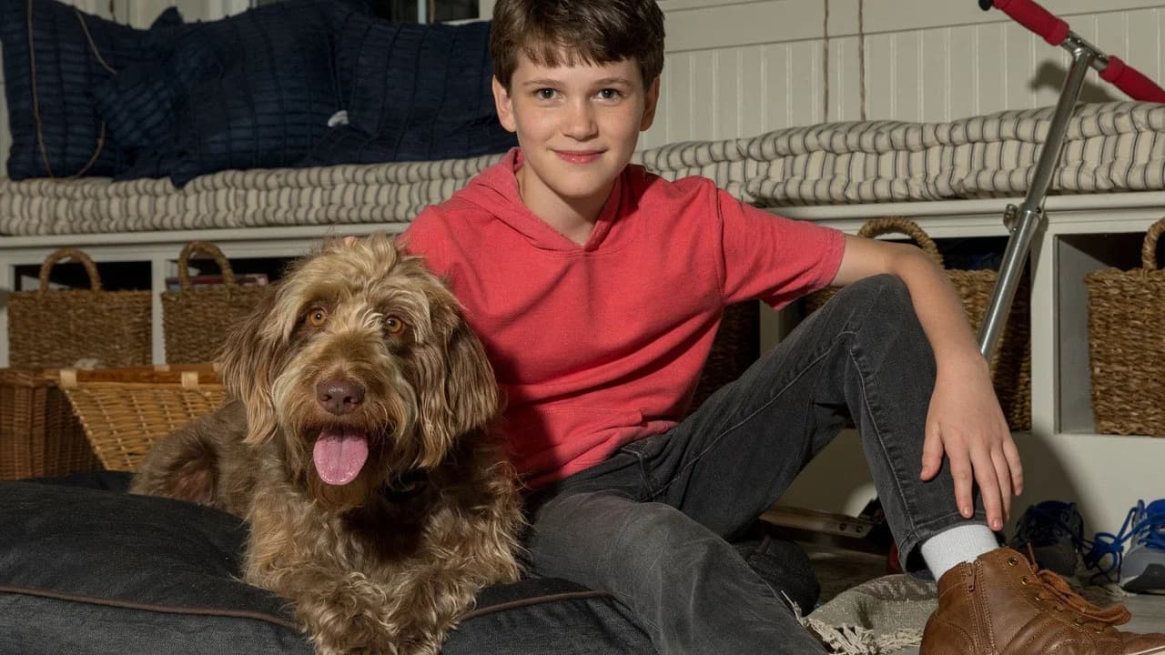 Un esprit de chien