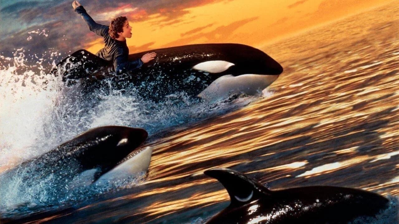 Sauvez Willy 2 : La nouvelle aventure