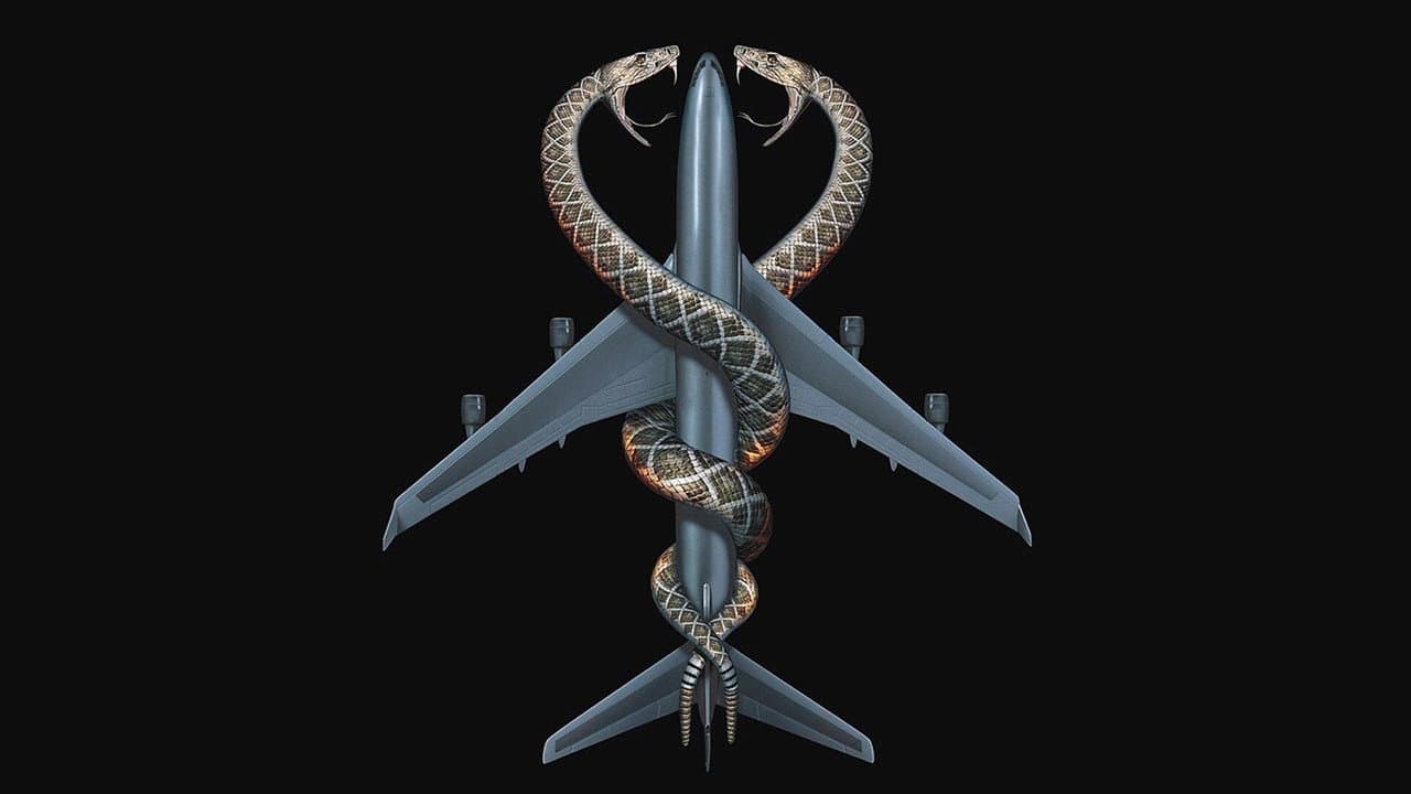 Des Serpents Dans l'Avion