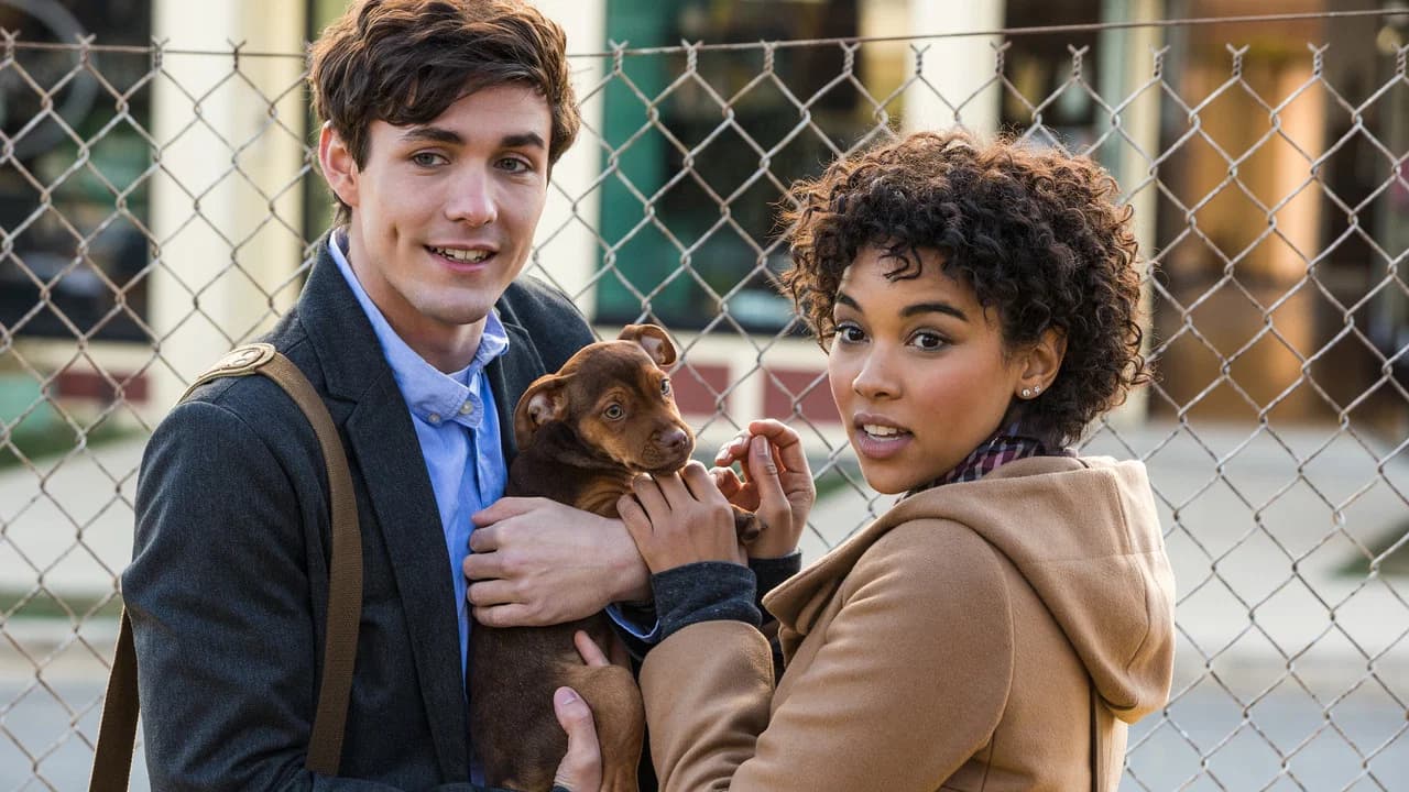 L'Incroyable Aventure de Bella