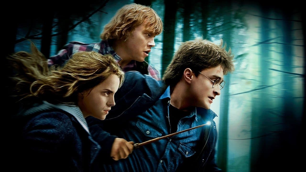 Harry Potter et les Reliques de la Mort - 1ère partie