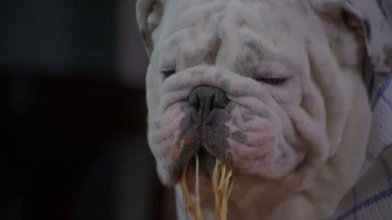 Un Chien dans la mafia