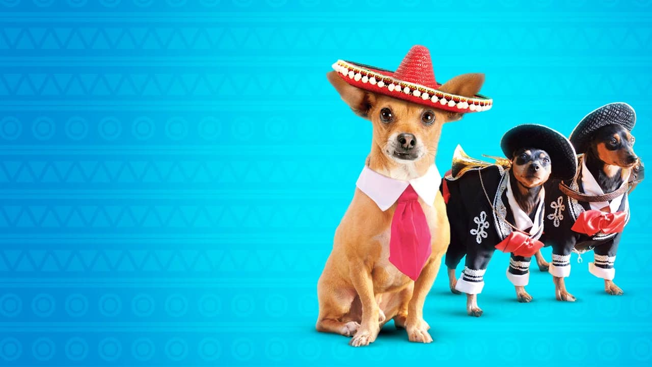 Le Chihuahua de Beverly Hills 3 : Viva la Fiesta !