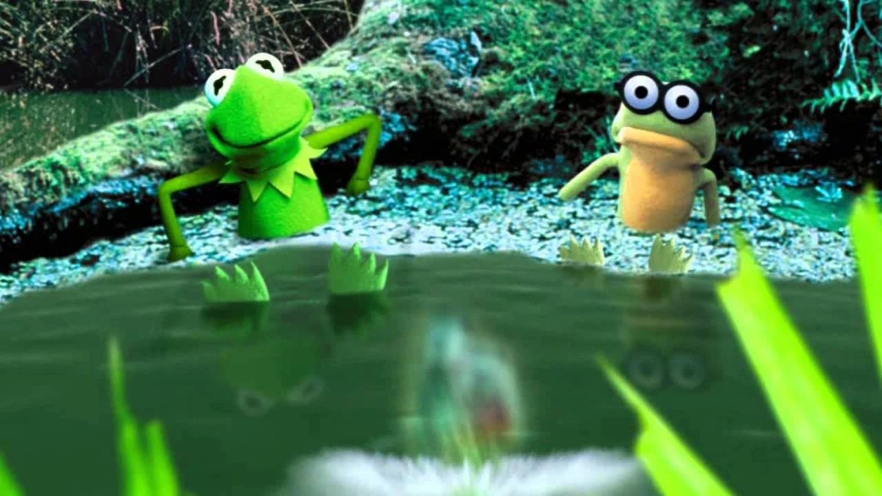 Kermit, les années têtard