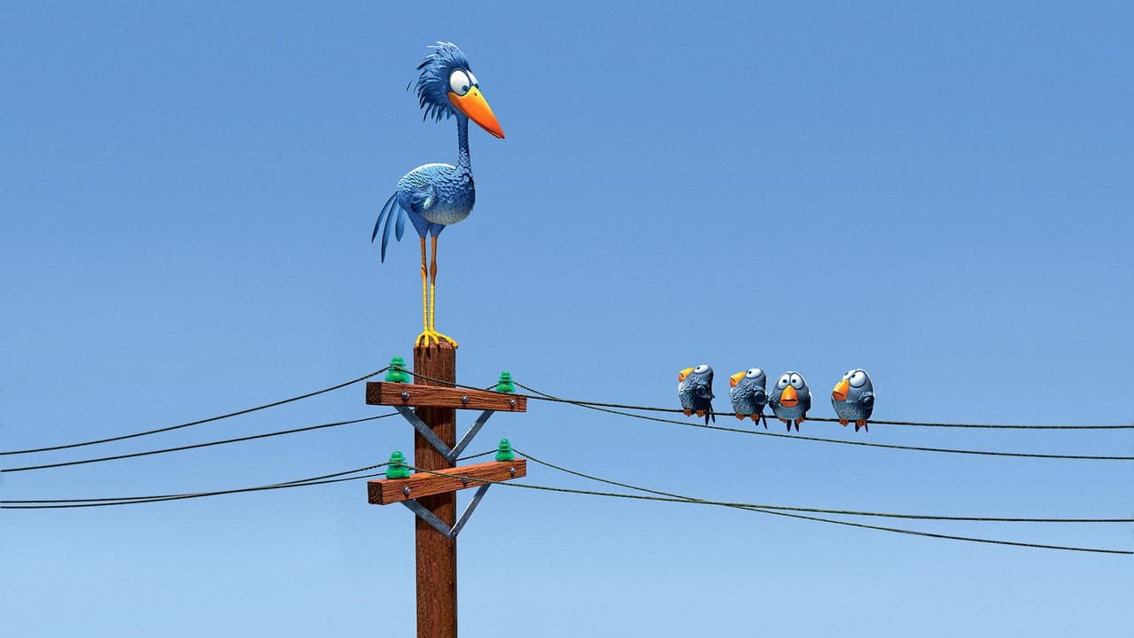 Drôles d'oiseaux sur une ligne à haute tension