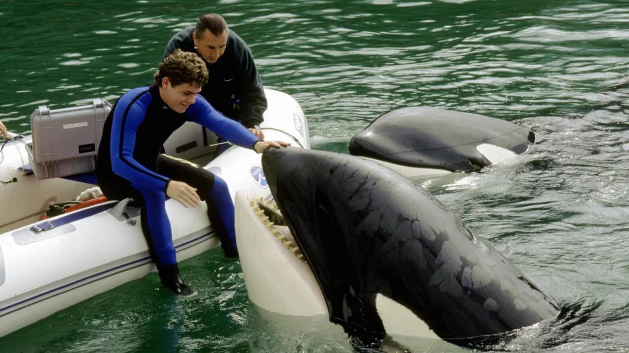 Sauvez Willy 3 : La poursuite
