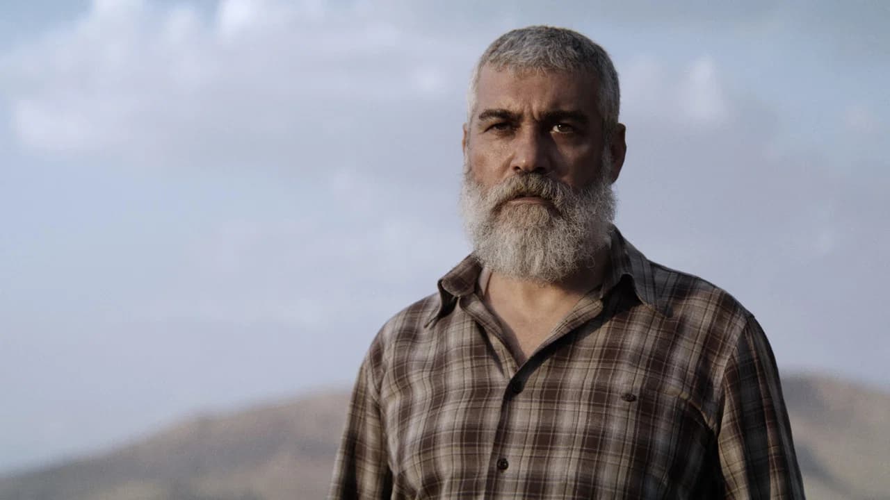 Kurtuluş