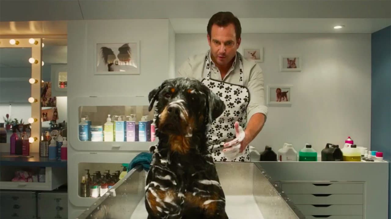 Le Dog Show