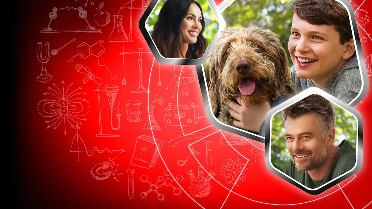 Un esprit de chien