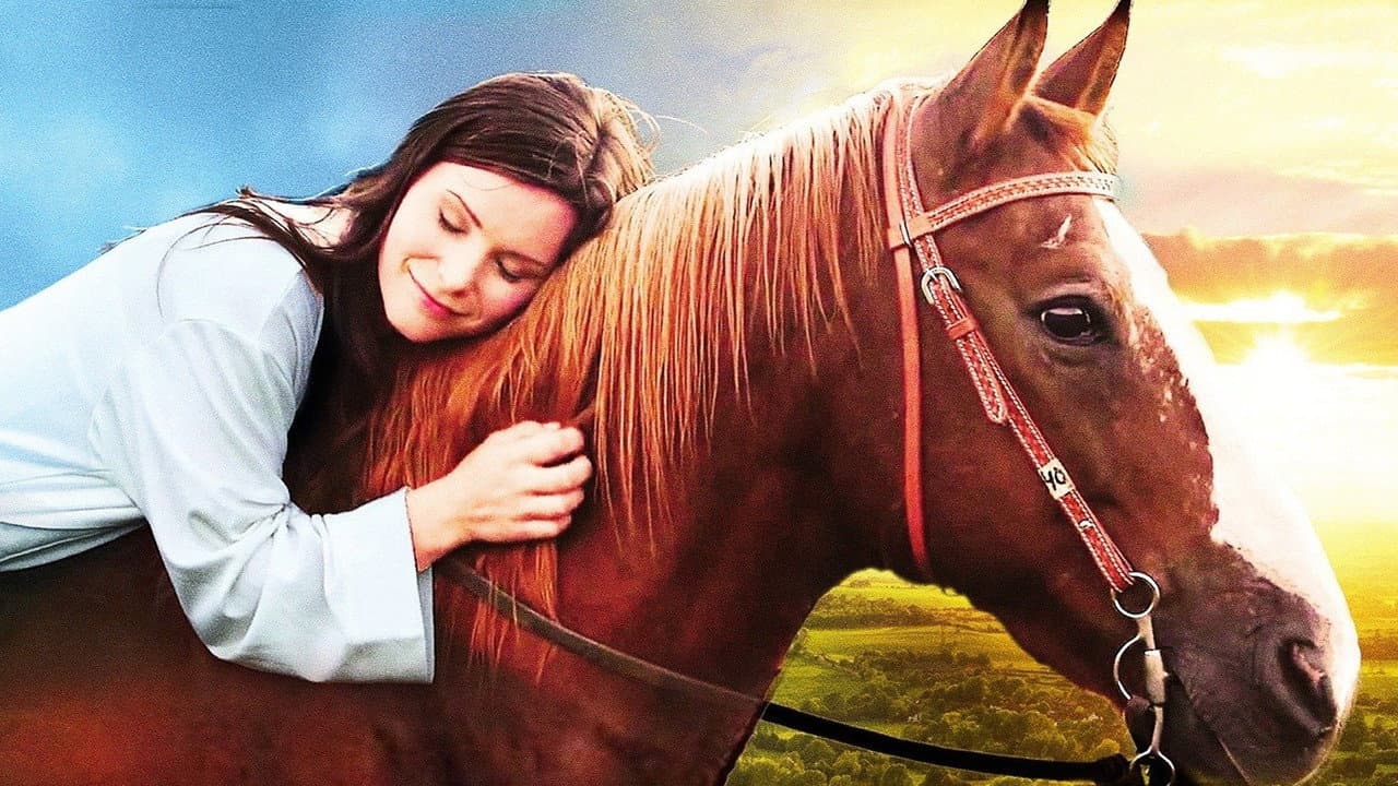 Horse Camp : En quête d'amour