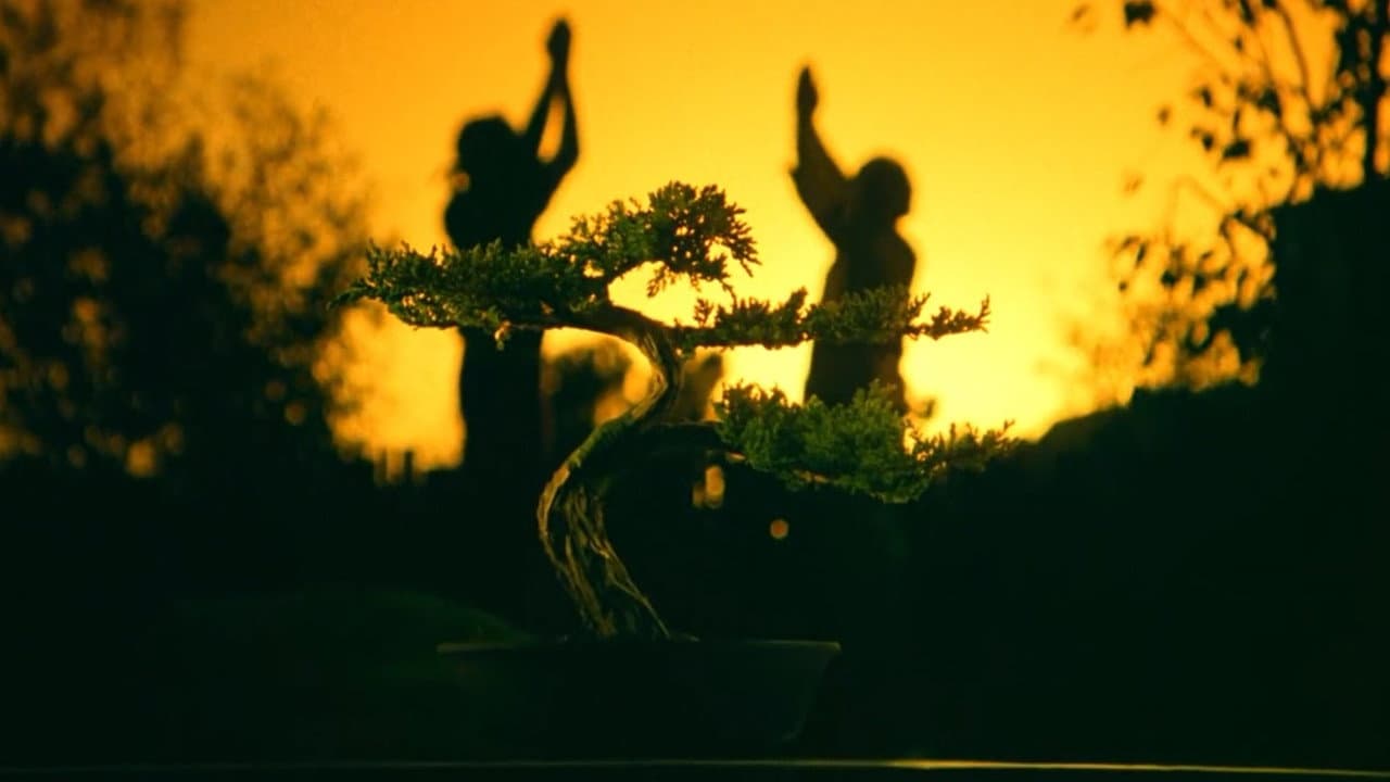 Karaté Kid III