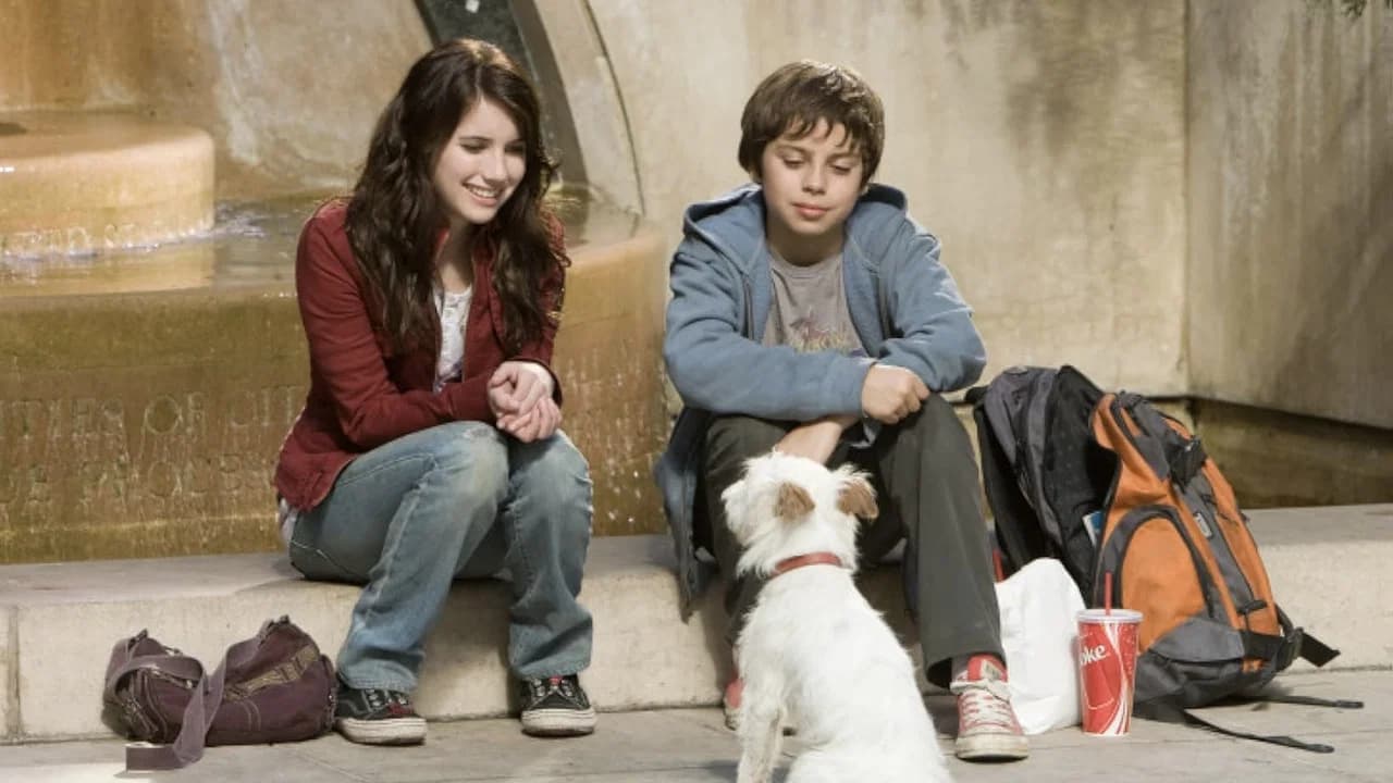 Palace pour chiens