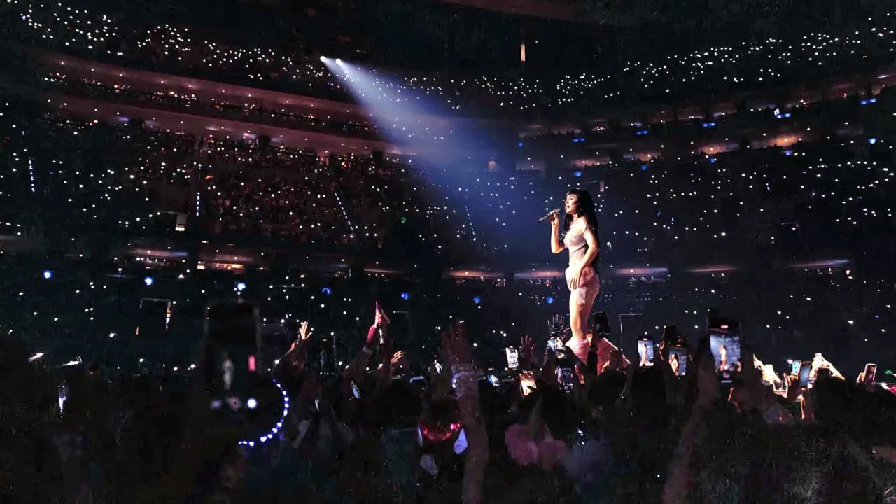 Katy Perry : The Lifetimes Tour