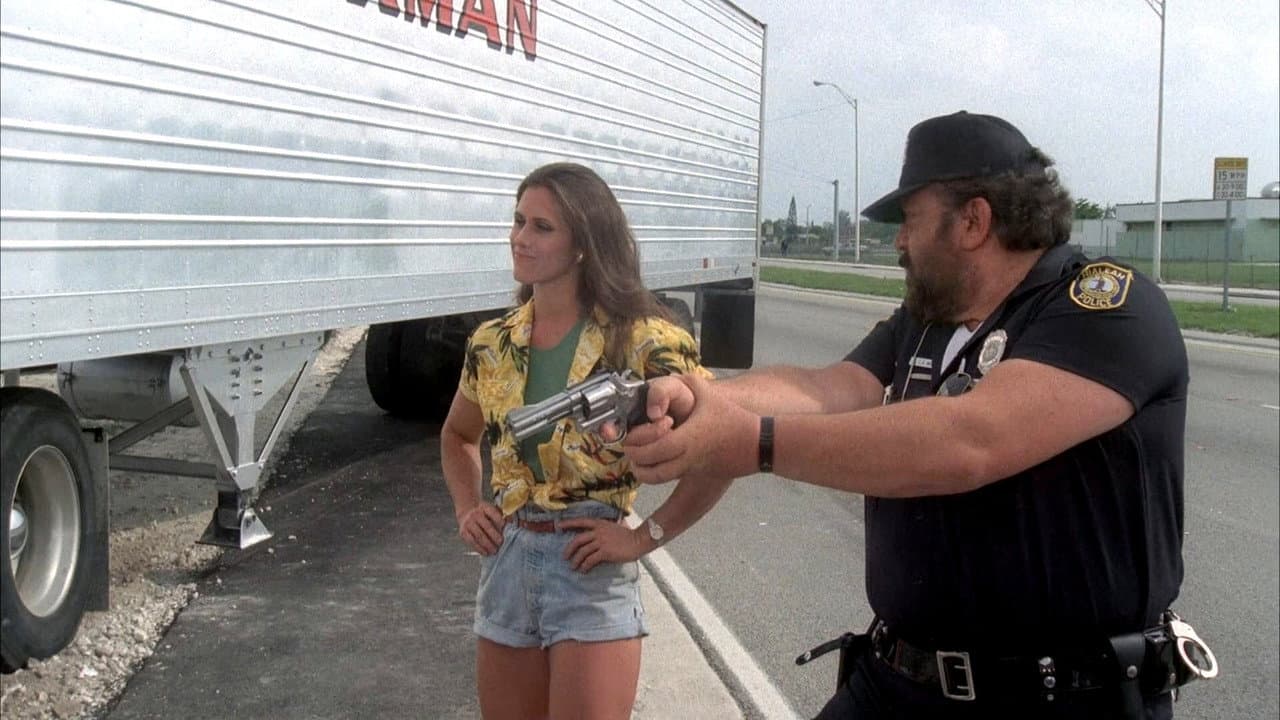Les Super-flics de Miami