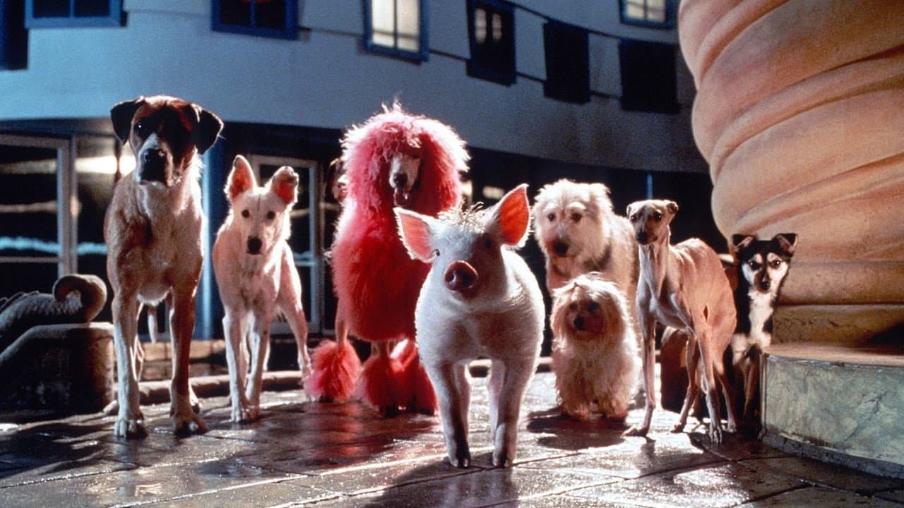 Babe, le cochon dans la ville