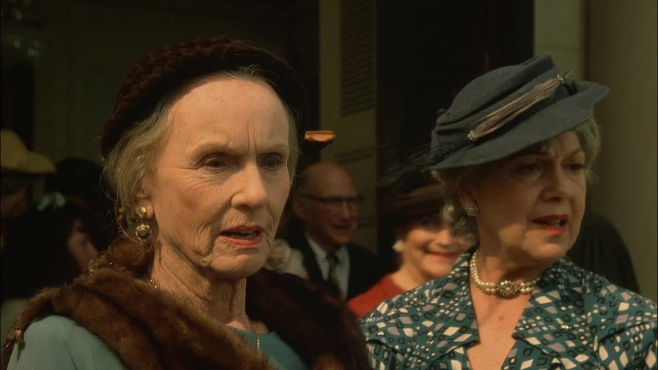Miss Daisy et son chauffeur