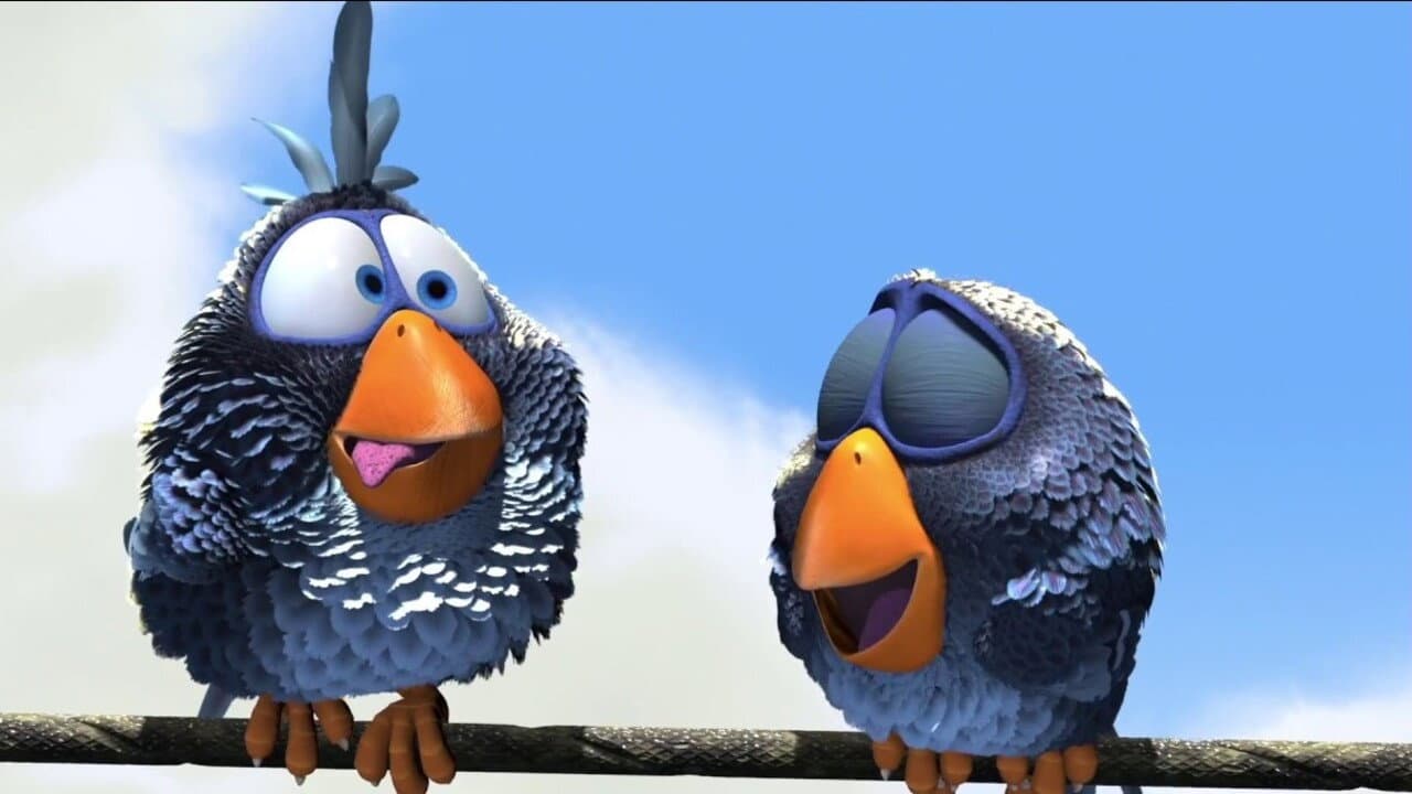 Drôles d'oiseaux sur une ligne à haute tension