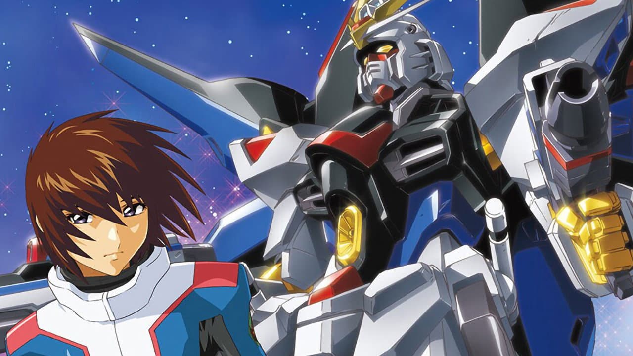 機動戦士ガンダムSEED DESTINY スペシャルエディション完結編 自由の代償
