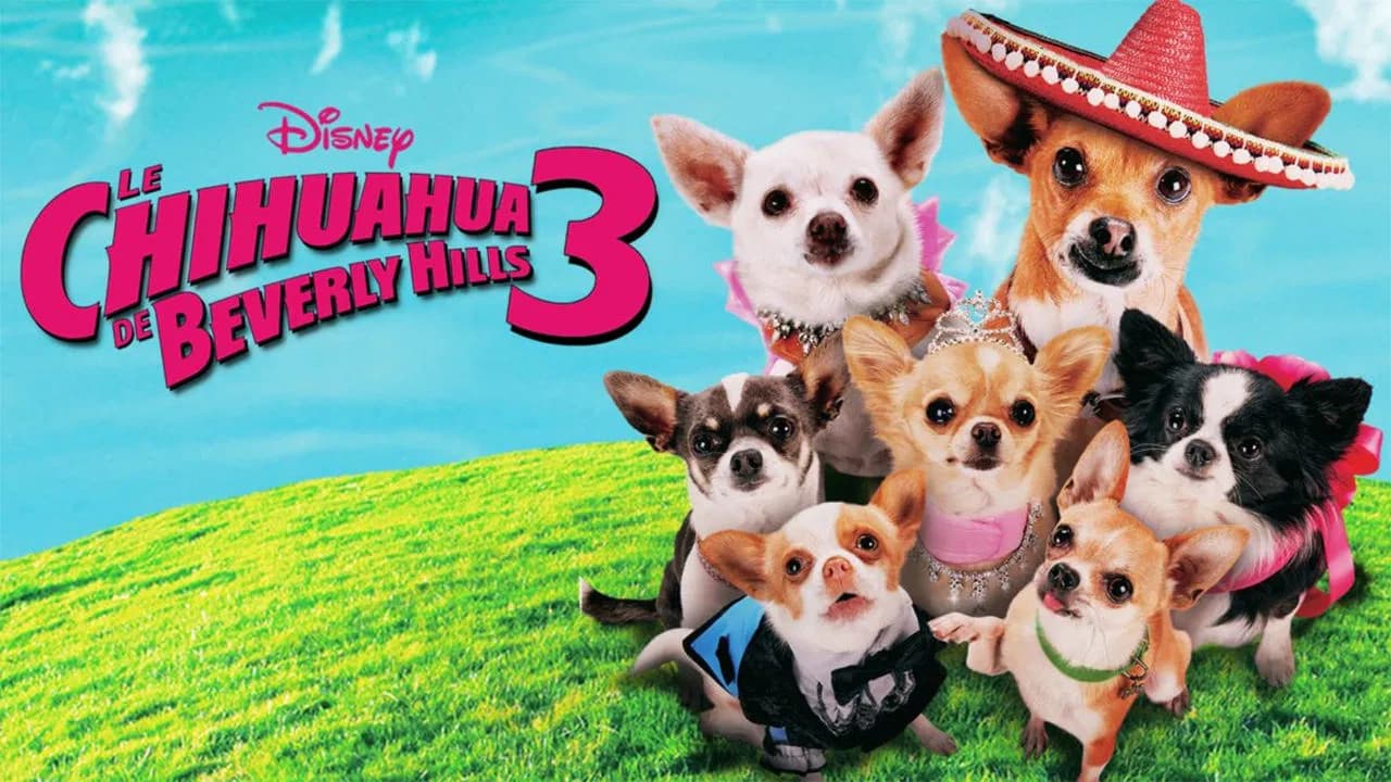 Le Chihuahua de Beverly Hills 3 : Viva la Fiesta !