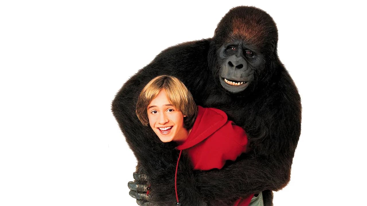 Drôle de singe