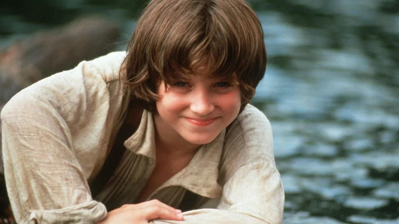 Les Aventures de Huckleberry Finn
