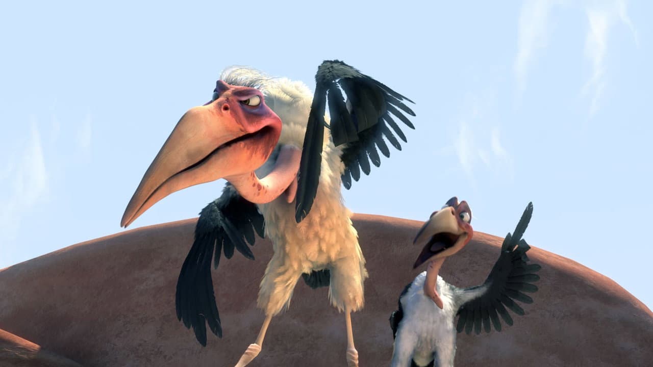 Drôles d'oiseaux