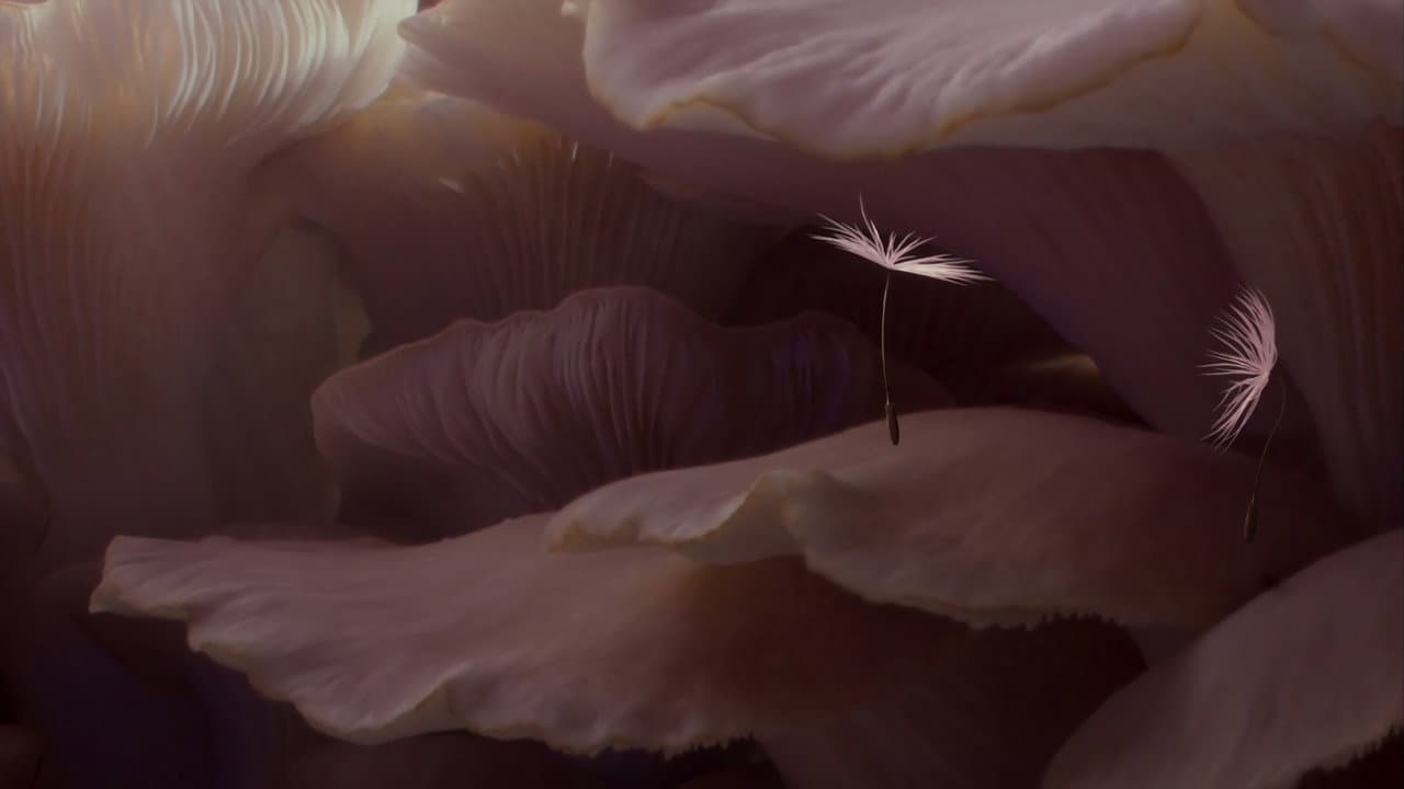 Planètes