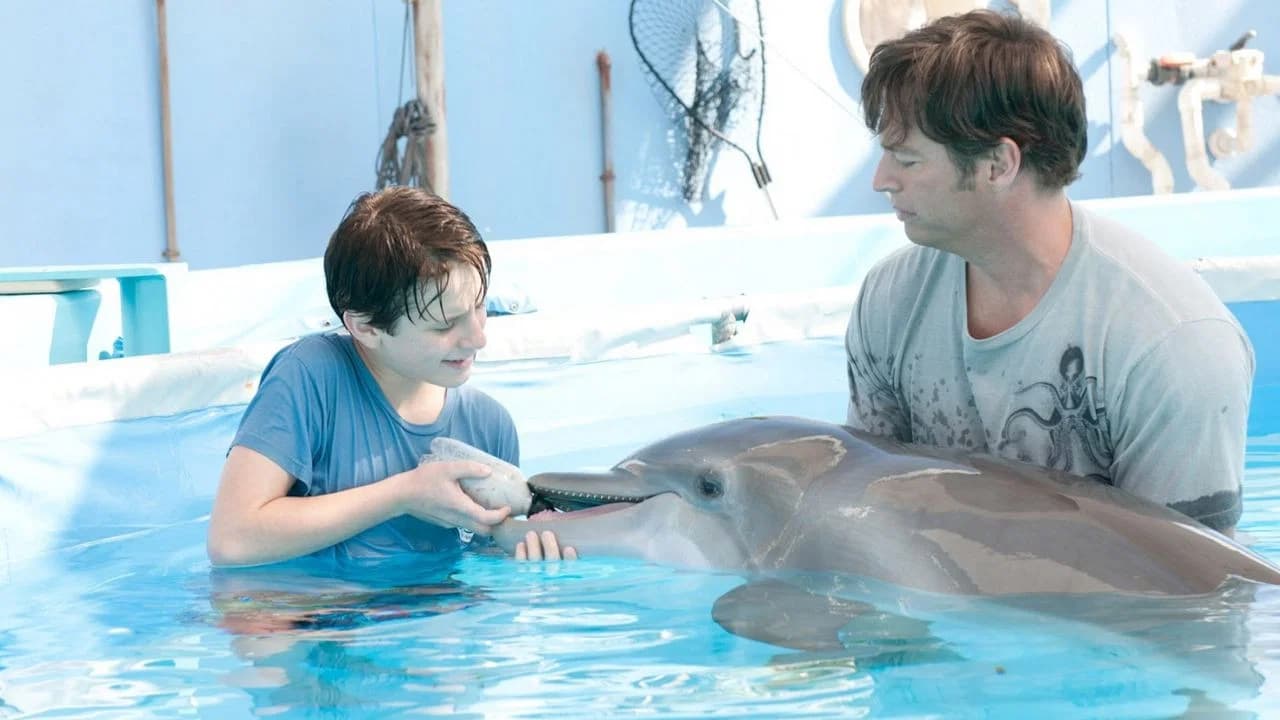 L'Incroyable Histoire de Winter le dauphin