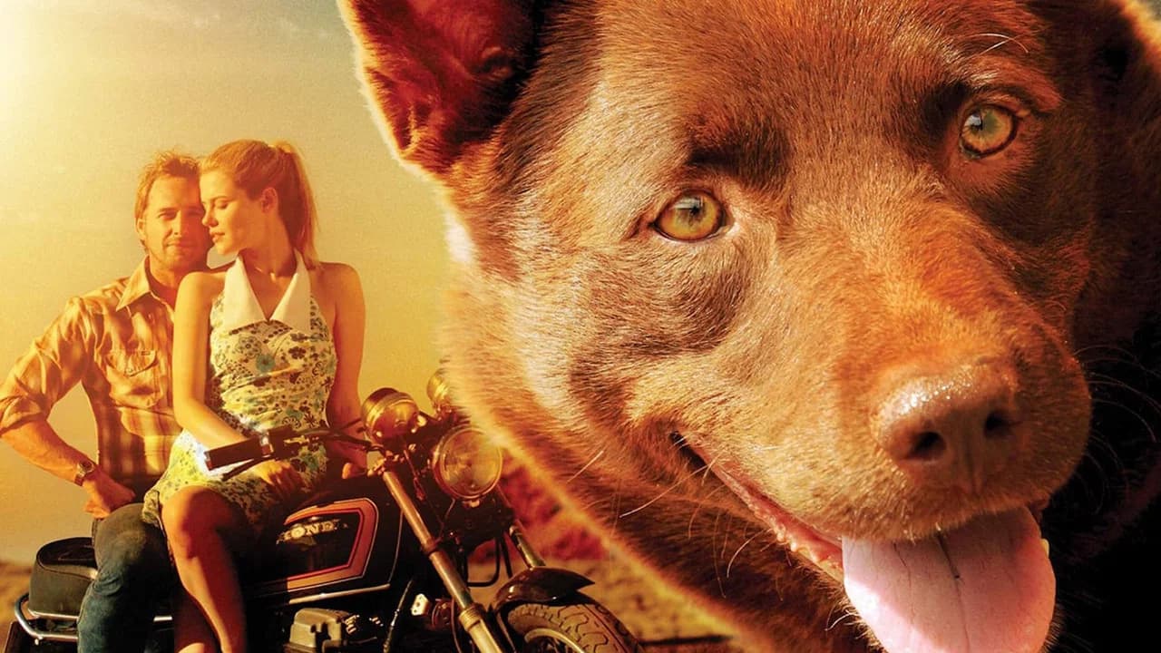 Red Dog