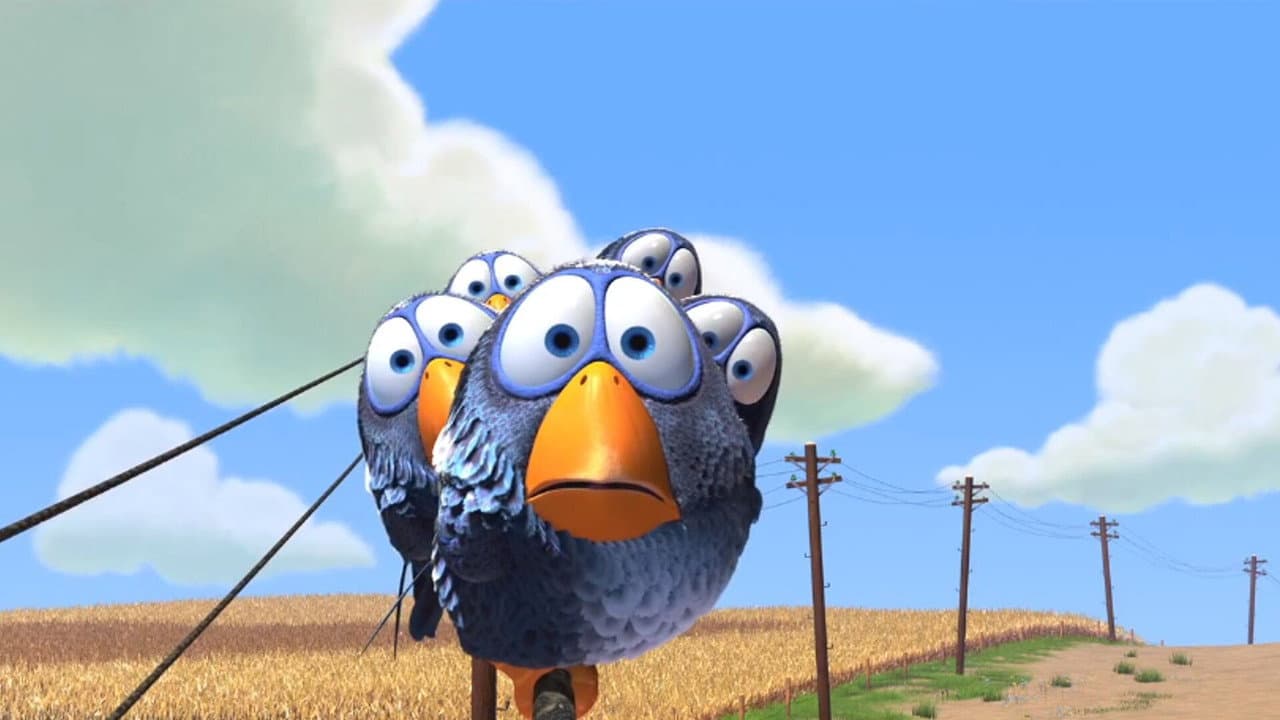 Drôles d'oiseaux sur une ligne à haute tension