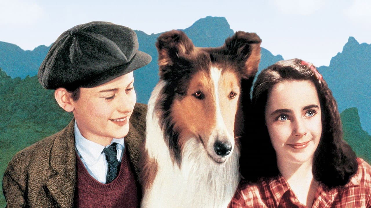 Fidèle Lassie