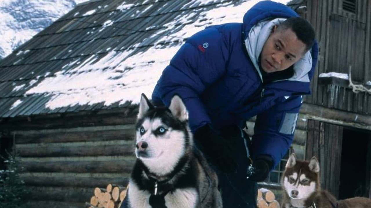Chiens des neiges