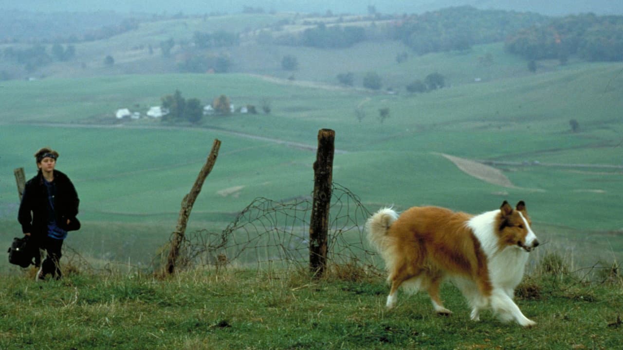 Lassie : Des amis pour la vie