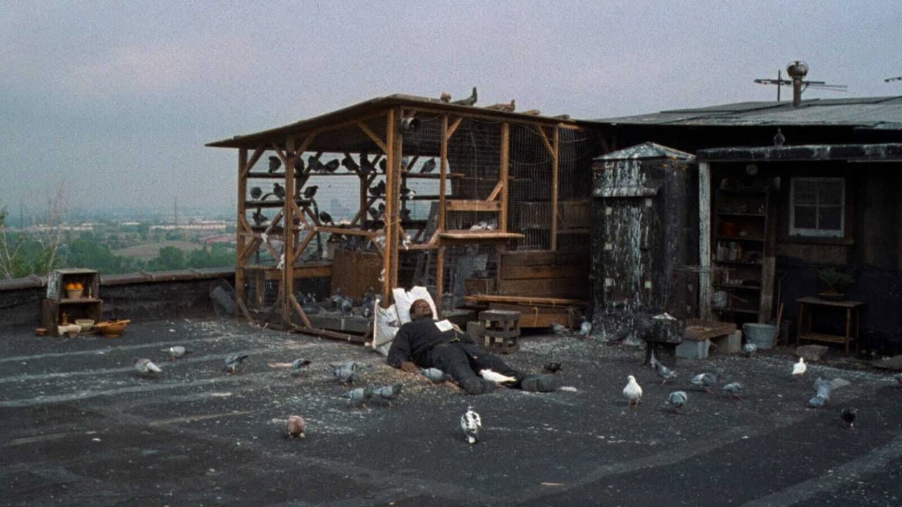 Ghost Dog, la voie du samouraï