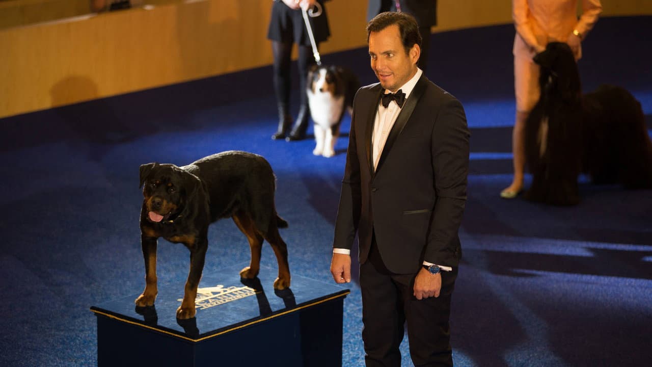 Le Dog Show