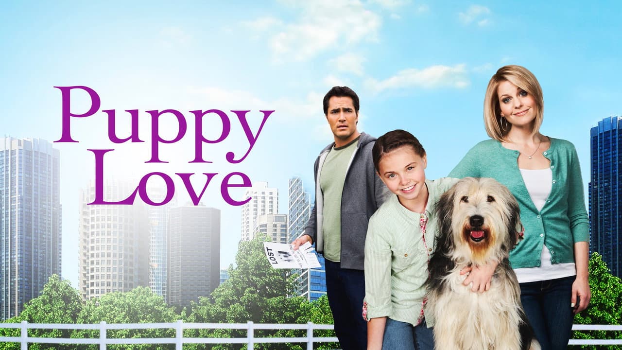 Un amour de chien