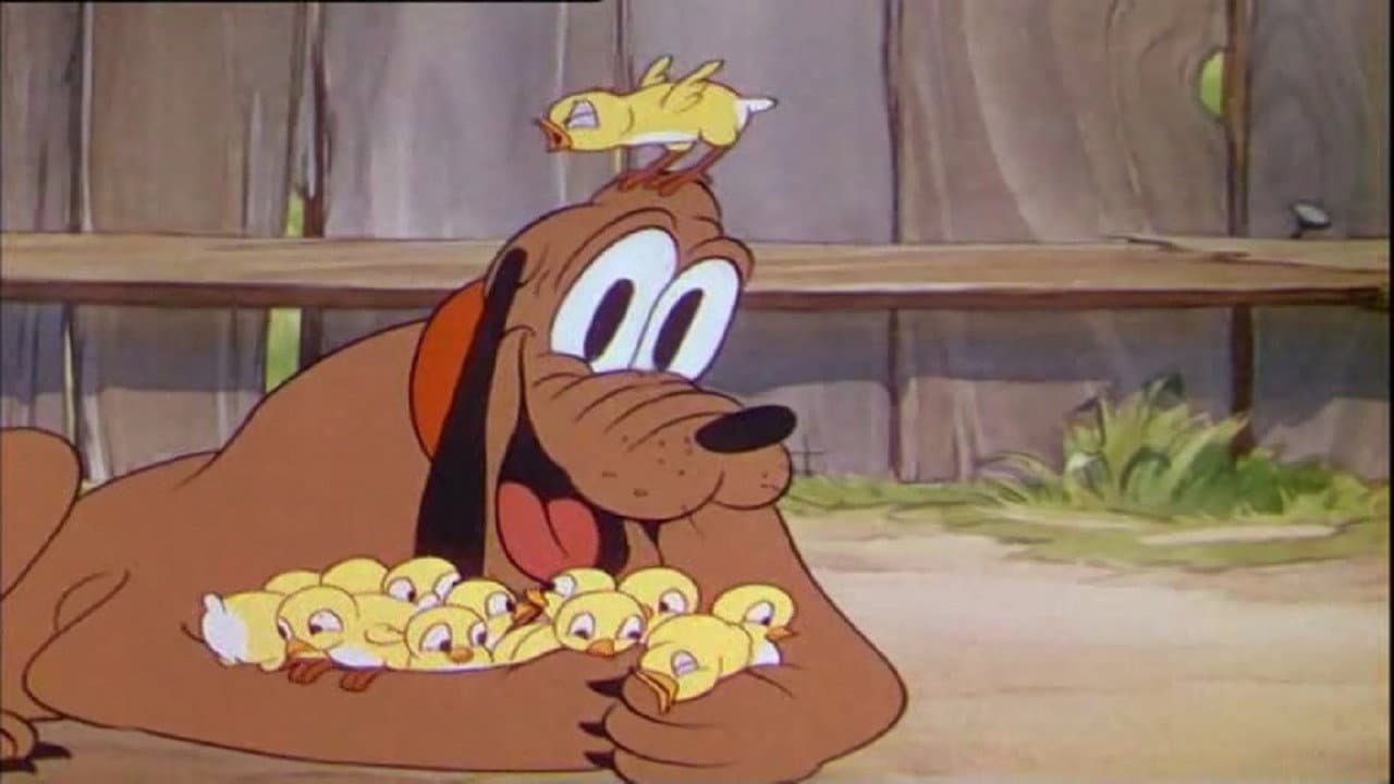 Papa Pluto