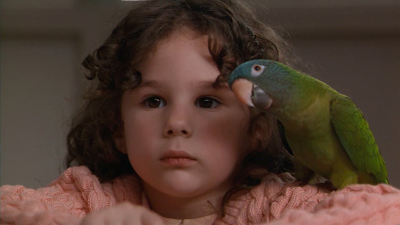 Paulie, le perroquet qui parlait trop